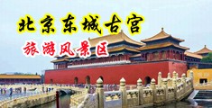 91中文字幕欧美一区二区中国北京-东城古宫旅游风景区